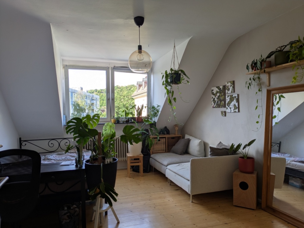 Wohnung Sanderau Virchowstraße - Bild 4