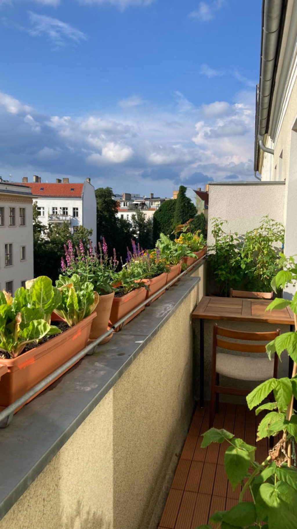 Wohnung Berlin Böcklinstraße - Balcony