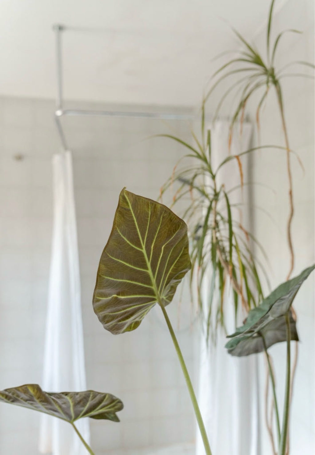 WG-Zimmer Palling Palling - Bild 11