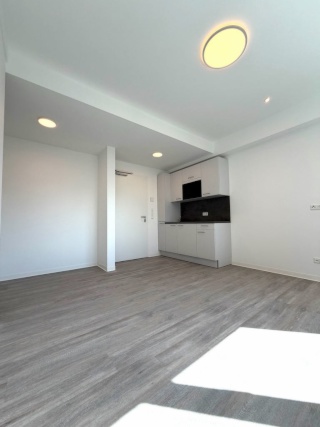 Anzeigenbild: 1-Zimmer-Apartment mit EBK | Concierge | Erstbezug