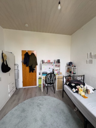 WG-Zimmer in Nordstadt