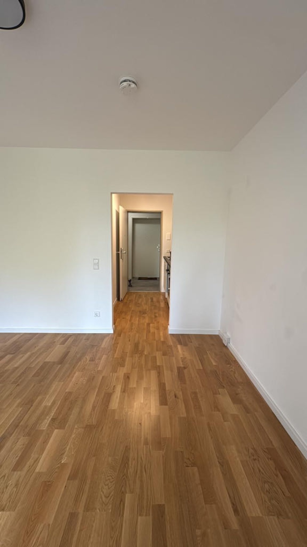 1 Room Flat Höchst Heimchenweg - picture 3