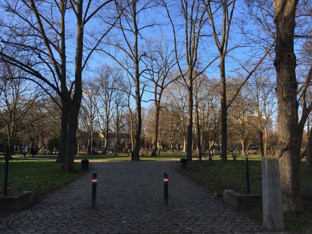 Flatshare Humboldt-Gremberg Taunusstraße - picture 6