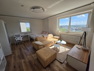Anzeigenbild: 24 m2 WG Zimmer mit Stadtblick, vollmöbliert, frisch renoviert, nahe Uniklinik / 24 m2 Shared-flat room with City View, Fully Furnished, Newly Renovated, Near University Hospital