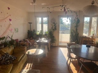 Ad image: 1 WG Zimmer in der Nordstadt (FLINTA* only WG)