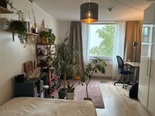 Anzeigenbild