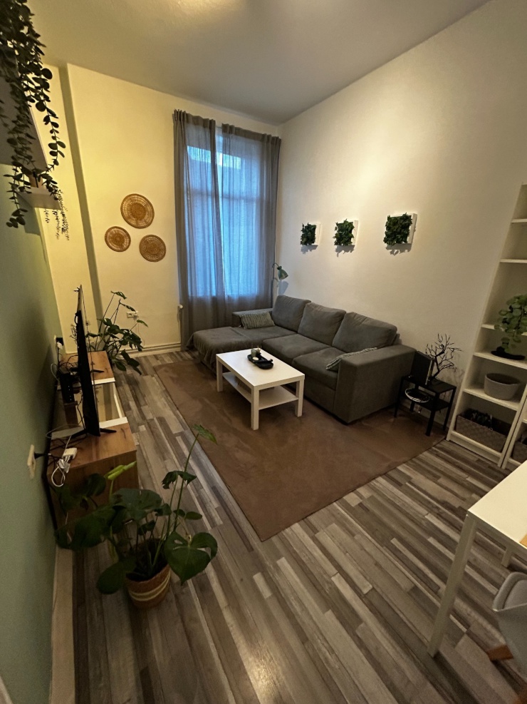 Wohnung zur Untermiete