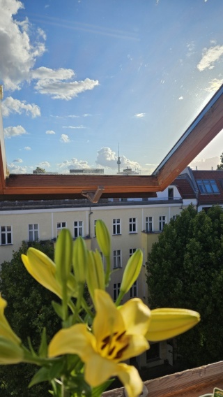 *short-term* Sunny Berlin-Prenzlauer Berg apartment — photo 1