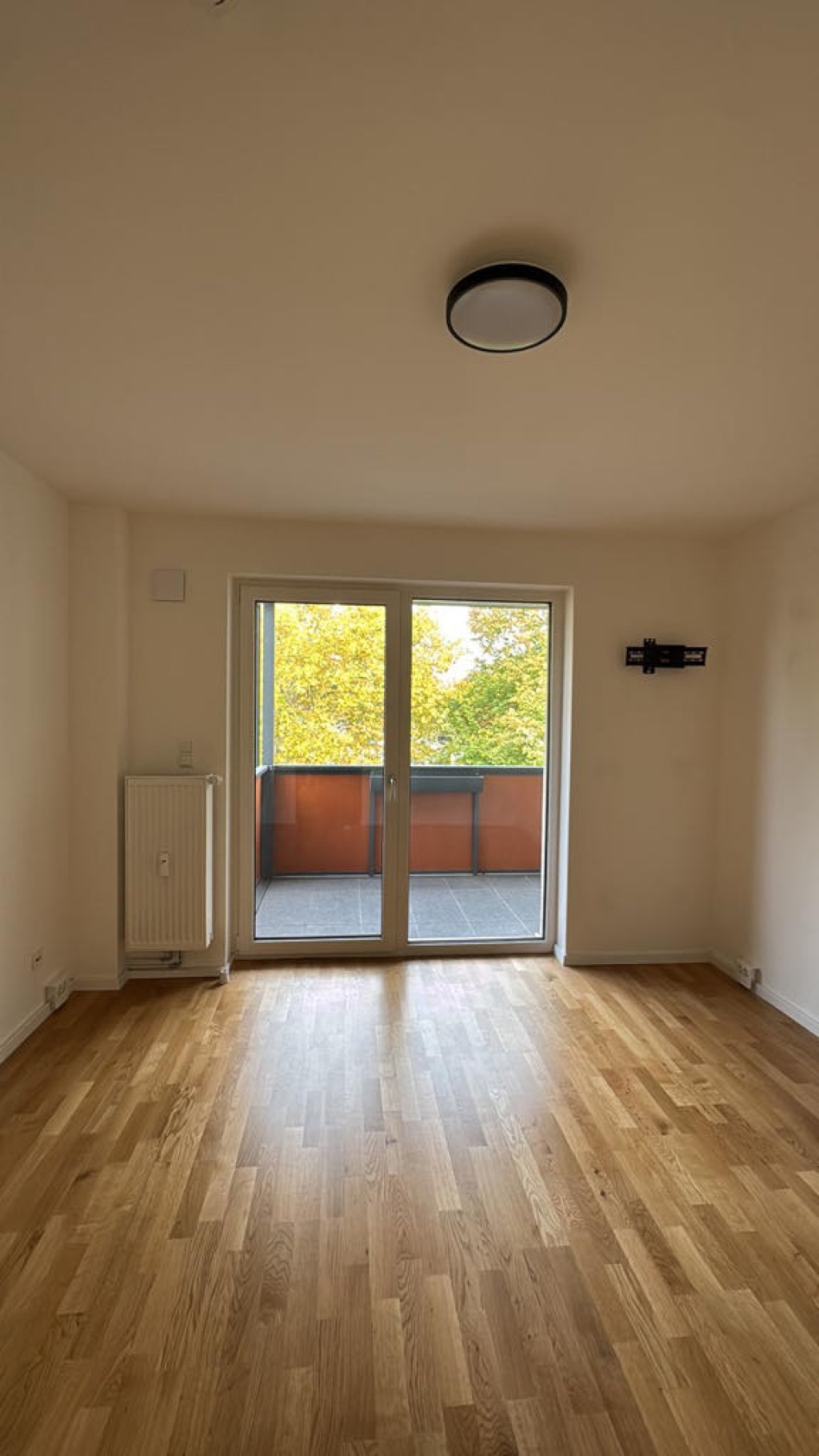 1 Room Flat Höchst Heimchenweg - picture 2