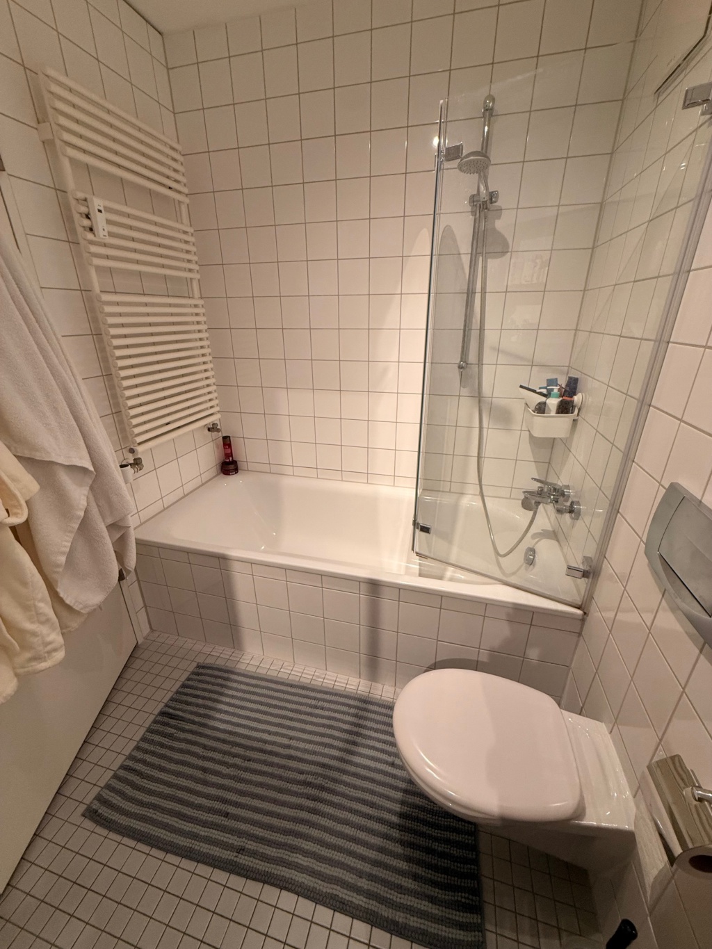 Wohnung Mitte Voxstr.  1 - Badewanne