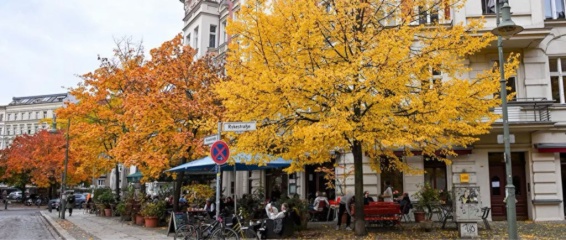 Schöne Wohnung im Prenzlauer Berg — photo 1