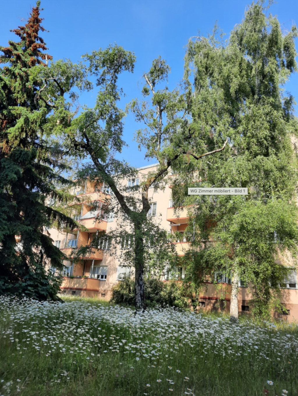 Wohnung Steglitz Steglitzer Damm 53d - Bild 7