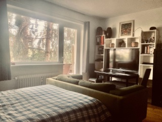 Anzeigenbild