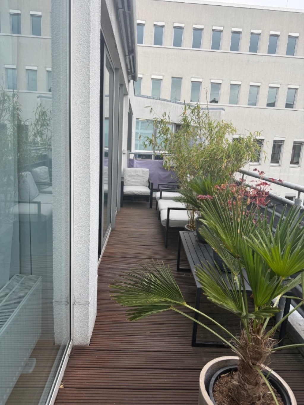 Flat Mitte Gipsstrasse - picture 3
