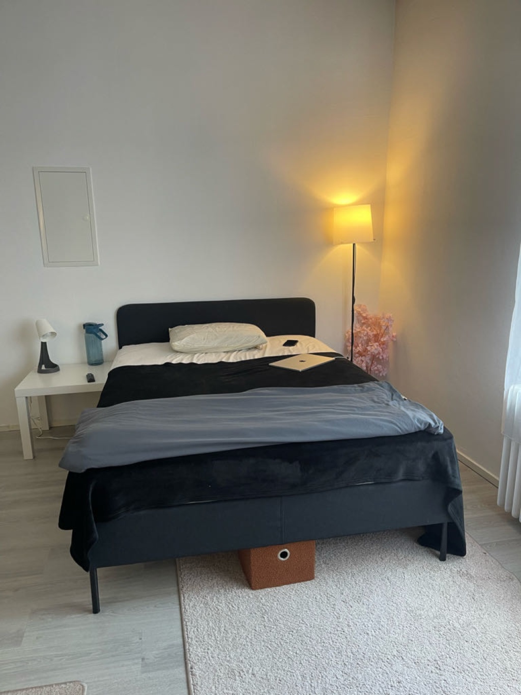 Wohnung Rechtsruhr-Süd Trooststraße - Bild 2