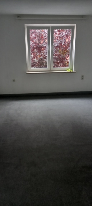 Anzeigenbild: Sonnige 2 Zimmerwhg. in Göttingen- Geismar Altbau Ofenheizung