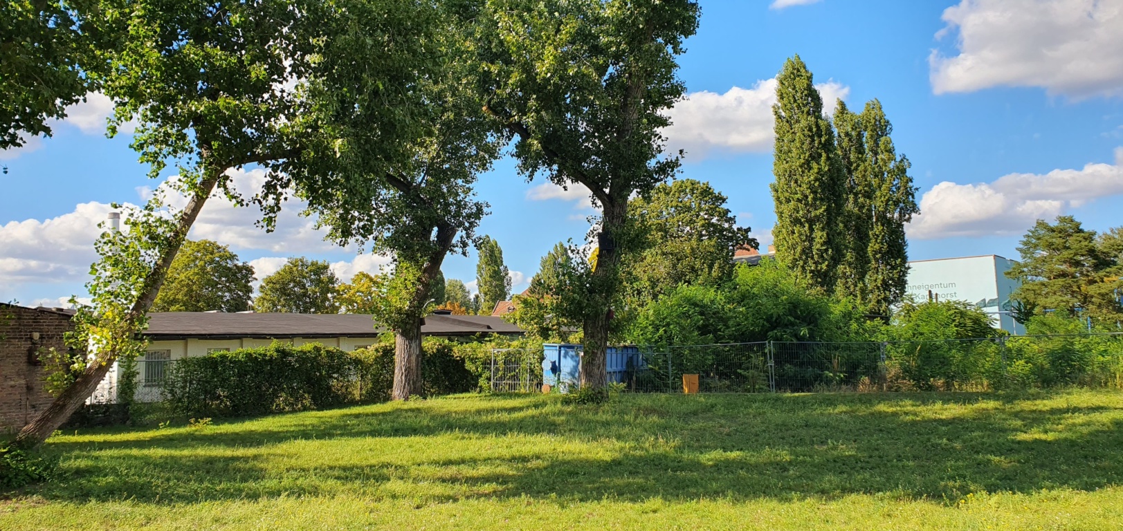 Wohnung Karlshorst Georg-Klingenberg-Straße - Bild 9