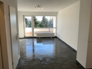 Anzeigenbild: Attraktive 1-Zimmer-Wohnung mit EBK - modern und hell