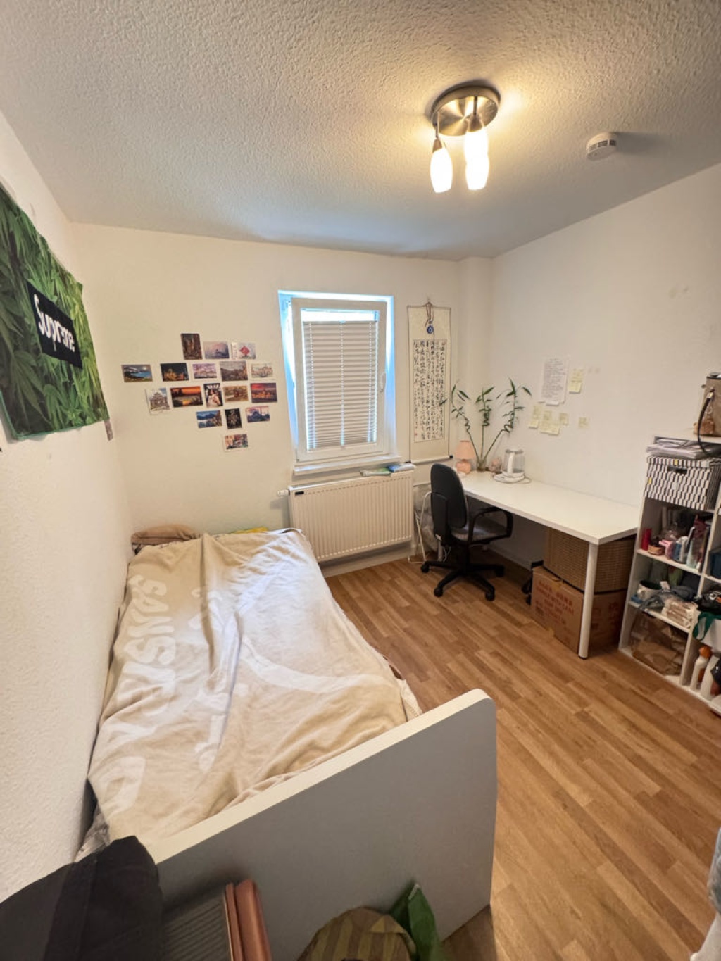Flatshare Mitte Hohenheimer Straße - picture 1