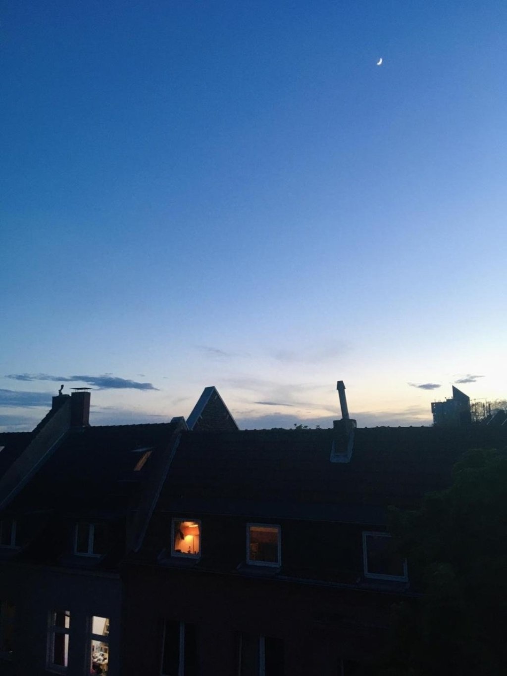 Flatshare Humboldt-Gremberg Taunusstraße - picture 7