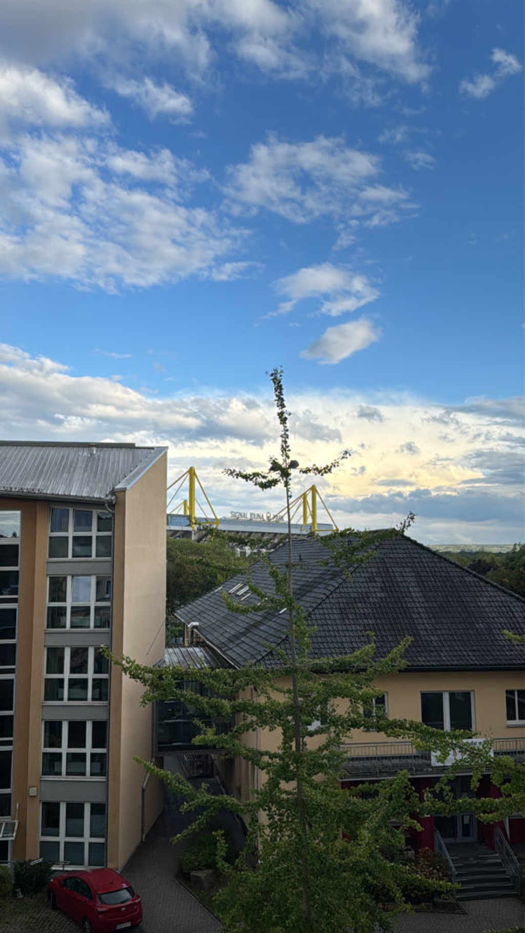 1-Zimmer-Wohnung Innenstadt West Wittekindstraße 98 - Bild 17
