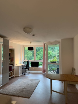 Anzeigenbild: 1 Zimmerwohnung mit Balkon