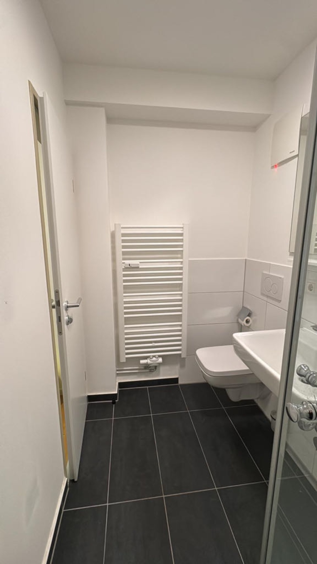 1 Room Flat Höchst Heimchenweg - picture 6