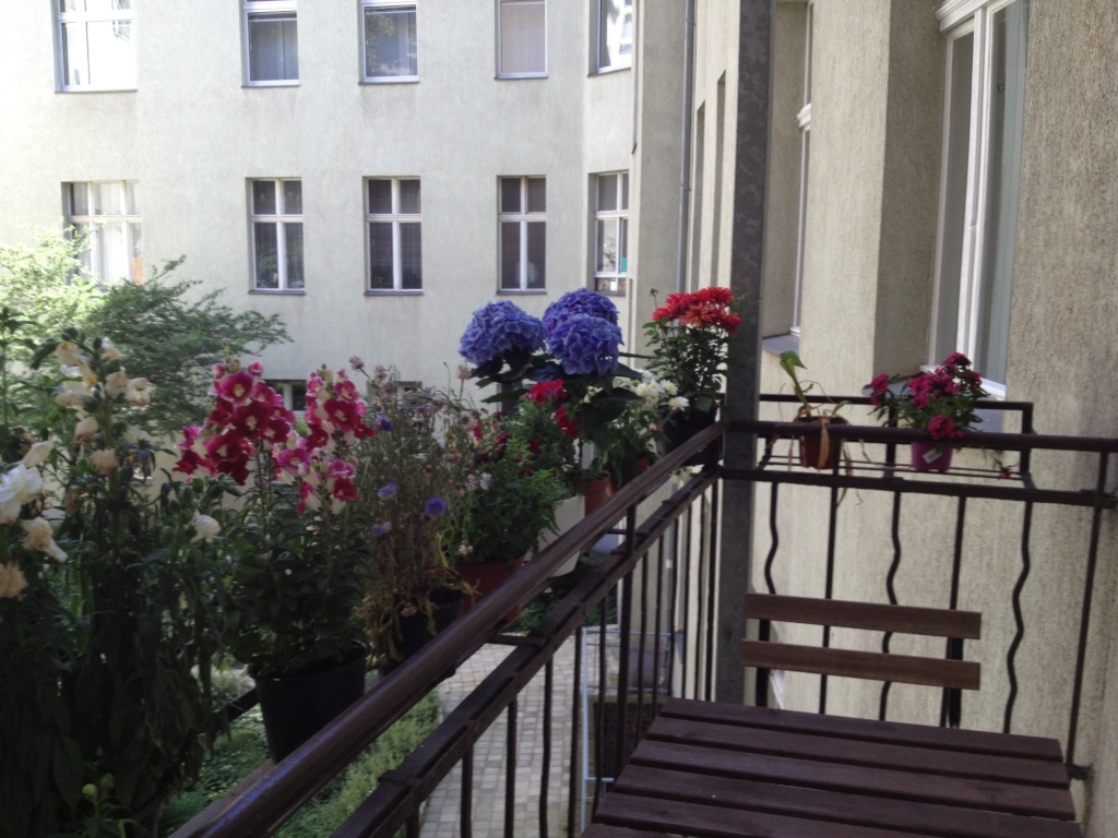 Wohnung Charlottenburg Dernburgstraße 11 - Bild 3