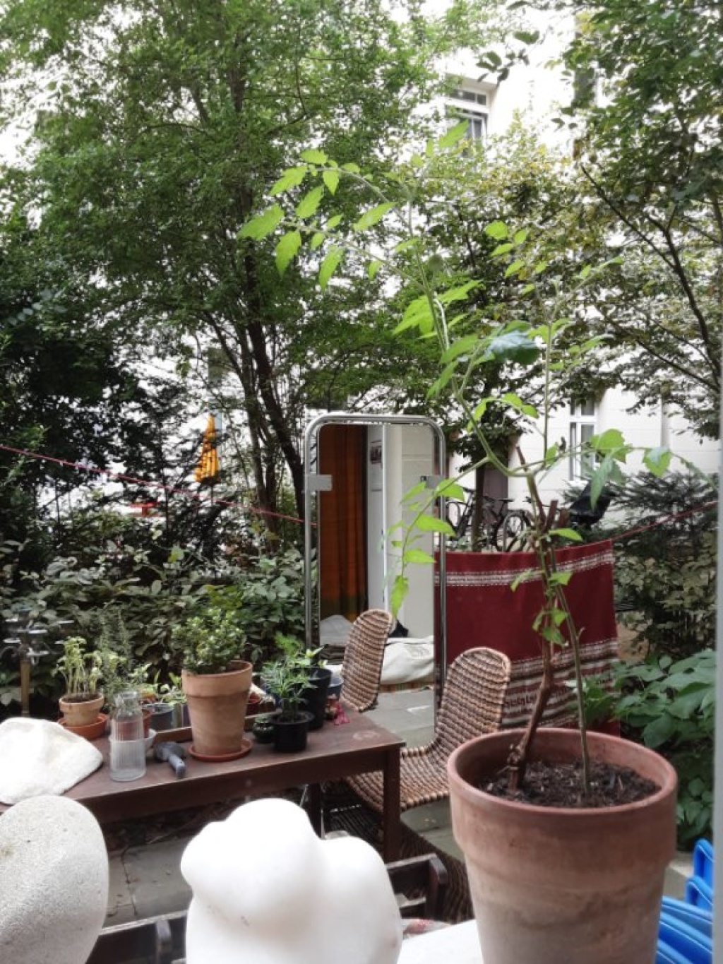 Flat Neukölln Sonnenallee 159 - Terasse