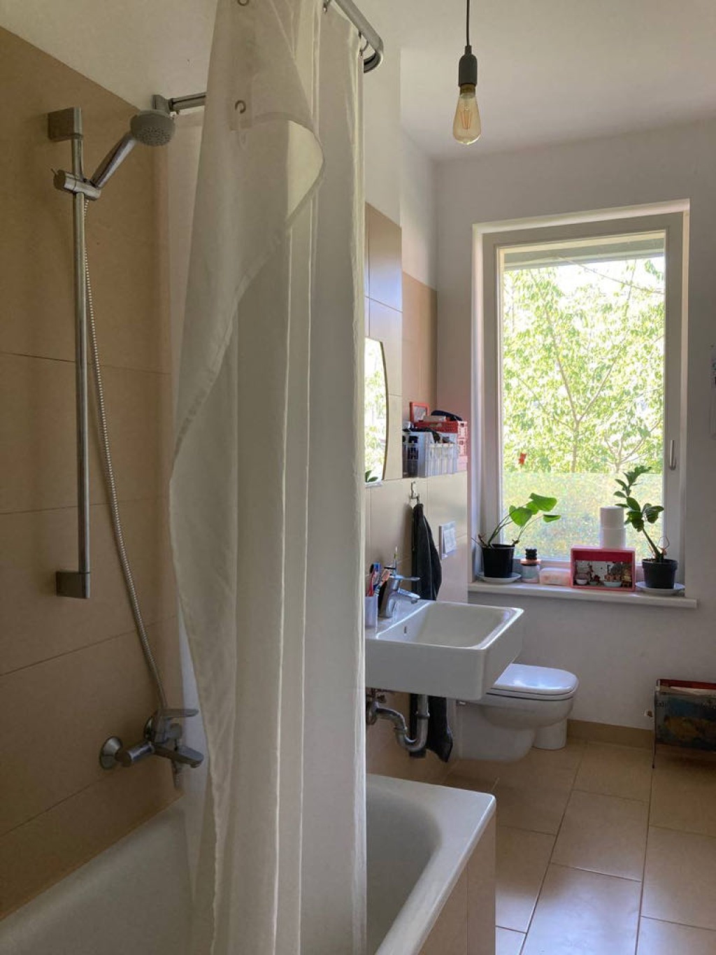 WG-Zimmer Neustadt-Neuschönefeld Hildegardstraße - Bild 5