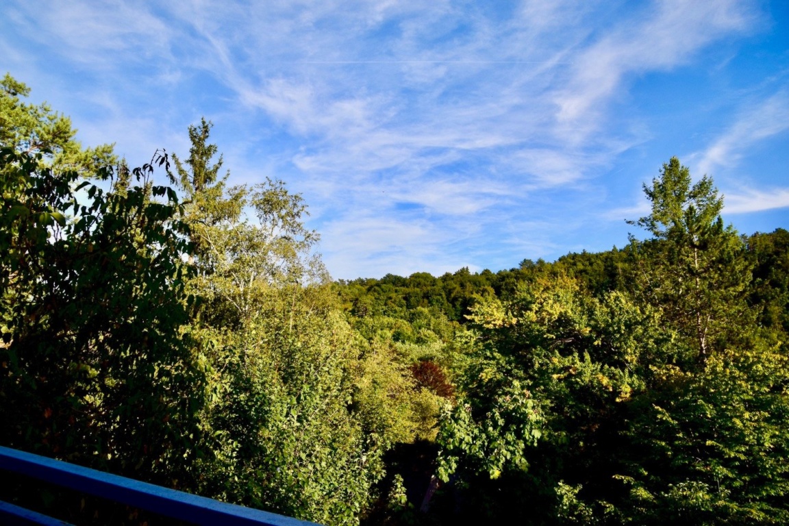 Wohnung vorderes Steinbachtal Anne-Frank-Straße 23 - Aussicht vom Balkon