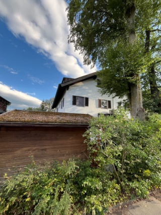 Ad image: Wg-Zimmer in renovierter 3er Wg in Grafing bei München