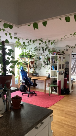 Bright 2-room ground floor flat in Berlin-Mitte - furnished, contract takeover possible — photo 1