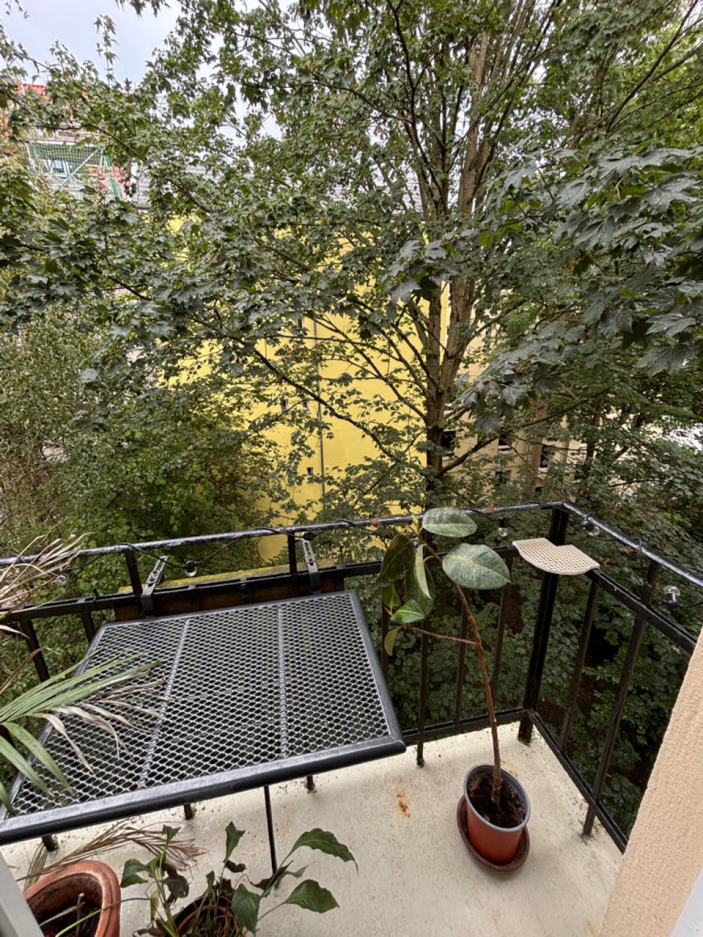 Wohnung Eppendorf Kegelhofstraße 36 - Bild 5