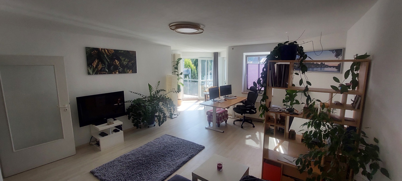Feb + März Zwischenmiete möbeliert: Helle große ruhige zentrale 2zi Wohnung – 93049 Regensburg Westenviertel – Vorschaubild 2