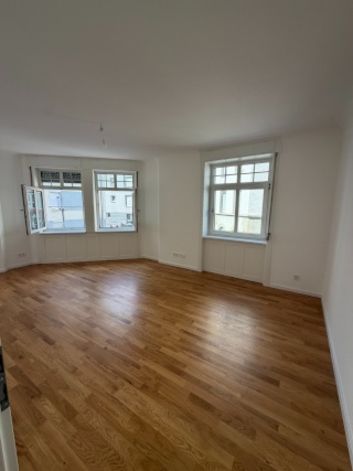 Anzeigenbild: 3-Zimmer-Wohnung im Altbau zum Erstbezug nach Kernsanierung