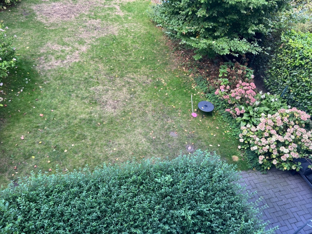 WG-geeignete Wohnung im Kreuzviertel – 48147 Münster Centrum – Vorschaubild 2