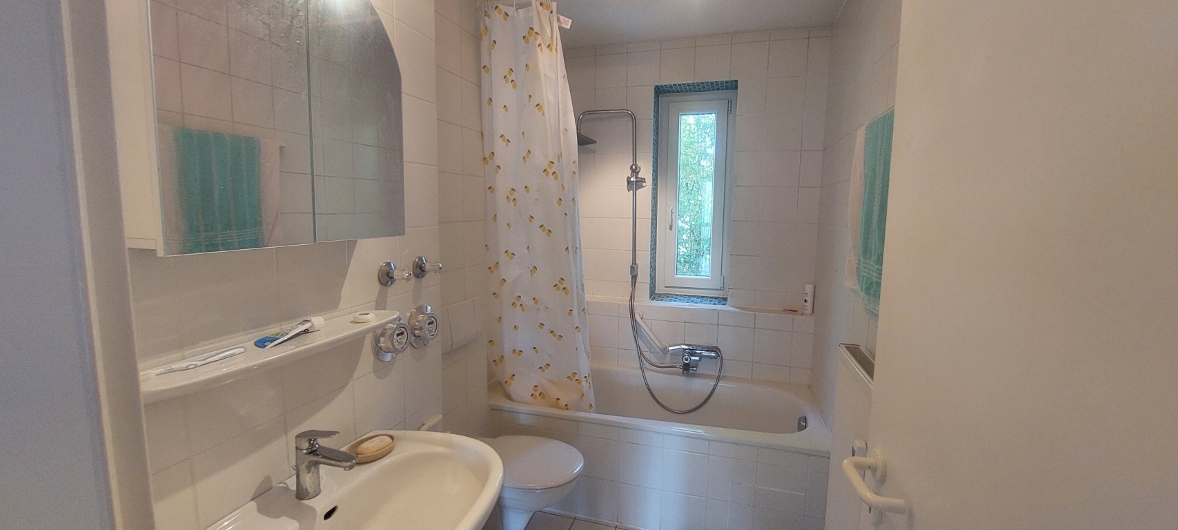 Feb + März Zwischenmiete möbeliert: Helle große ruhige zentrale 2zi Wohnung – 93049 Regensburg Westenviertel – Vorschaubild 9
