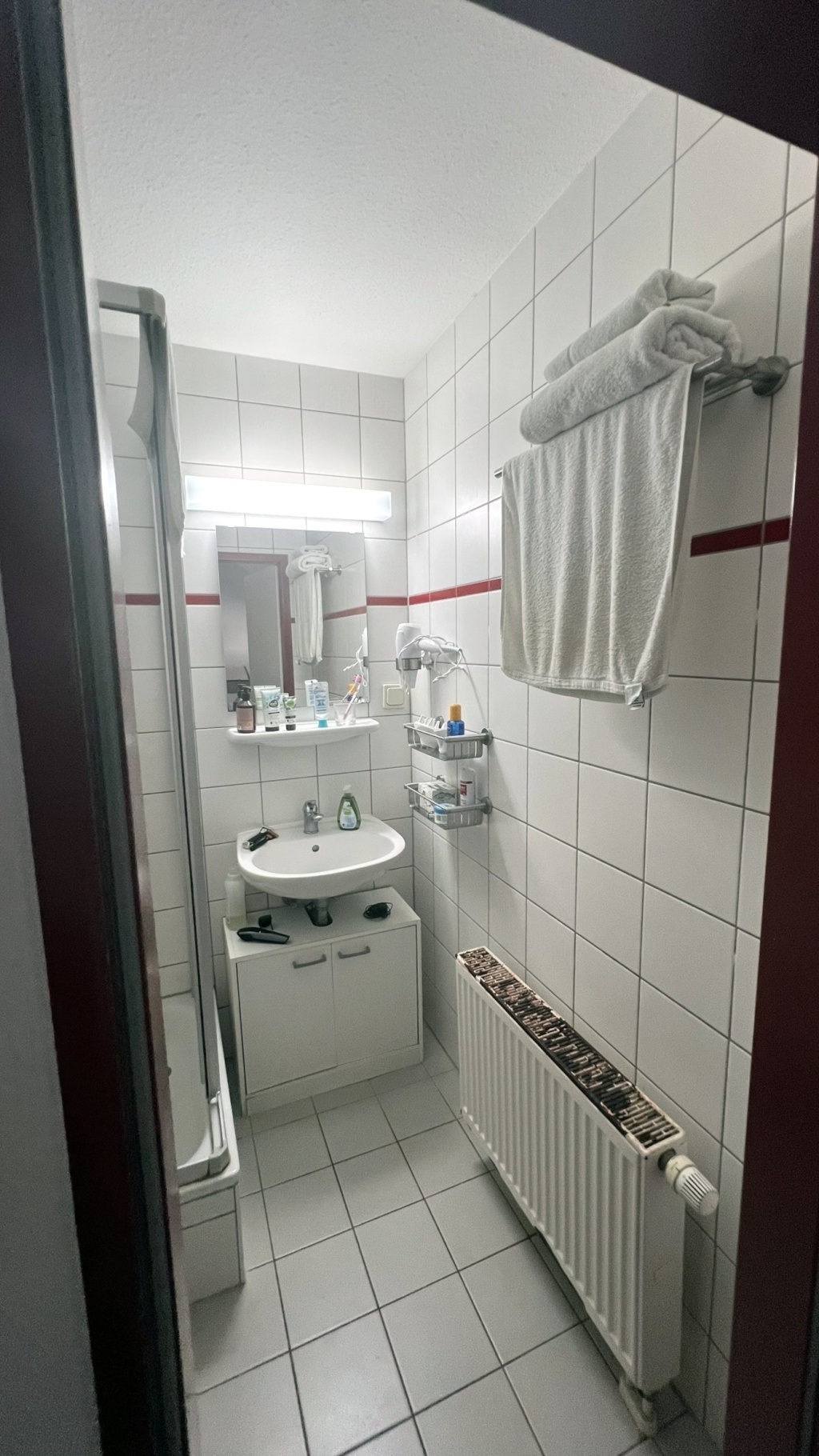 ANFRAGESTOPP – schöne Einzimmerwohnung in Jena – direkt am Wenigenjenaer Ufer – Ortsteil Wenigenjena (Jena-Ost) – ruhige und idyllische Lage – zentrumsnah – modern möbliert – 7749 Jena Jena-Ost – Vorschaubild 6