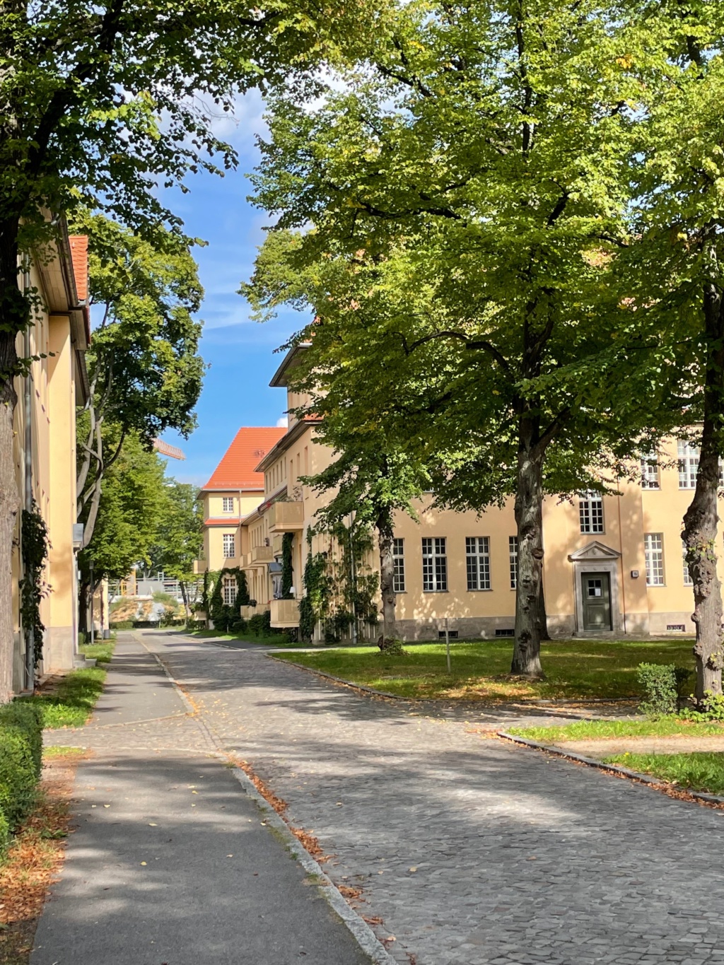 Wohnung Buch Wiltbergstraße - Bild 2