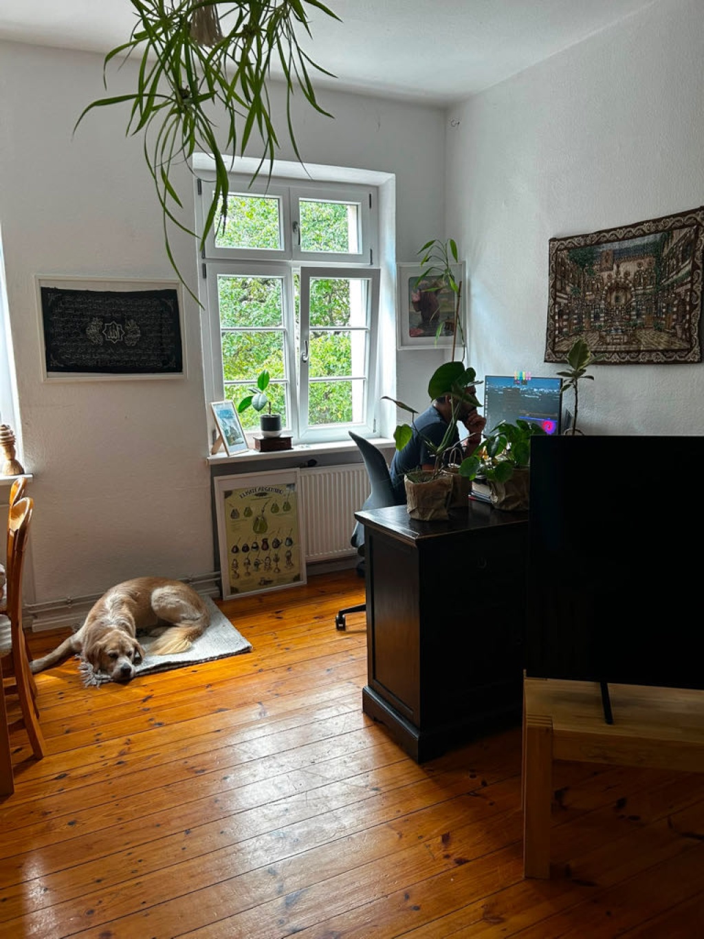 Wohnung Tempelhof-Schöneberg Hessenring - living room