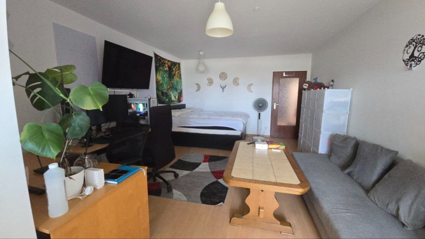 1-Zimmer-Wohnung in der Nähe des Erlangener Hauptbahnhofs für 3 Monate zur Untervermietung - Möglichkeit der Vertragsverlängerung mit dem Eigentümer – 91052 Erlangen Am Anger – Vorschaubild 3