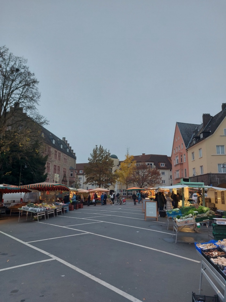 Anzeigenbild: Suche Wohnung in/um Gießen