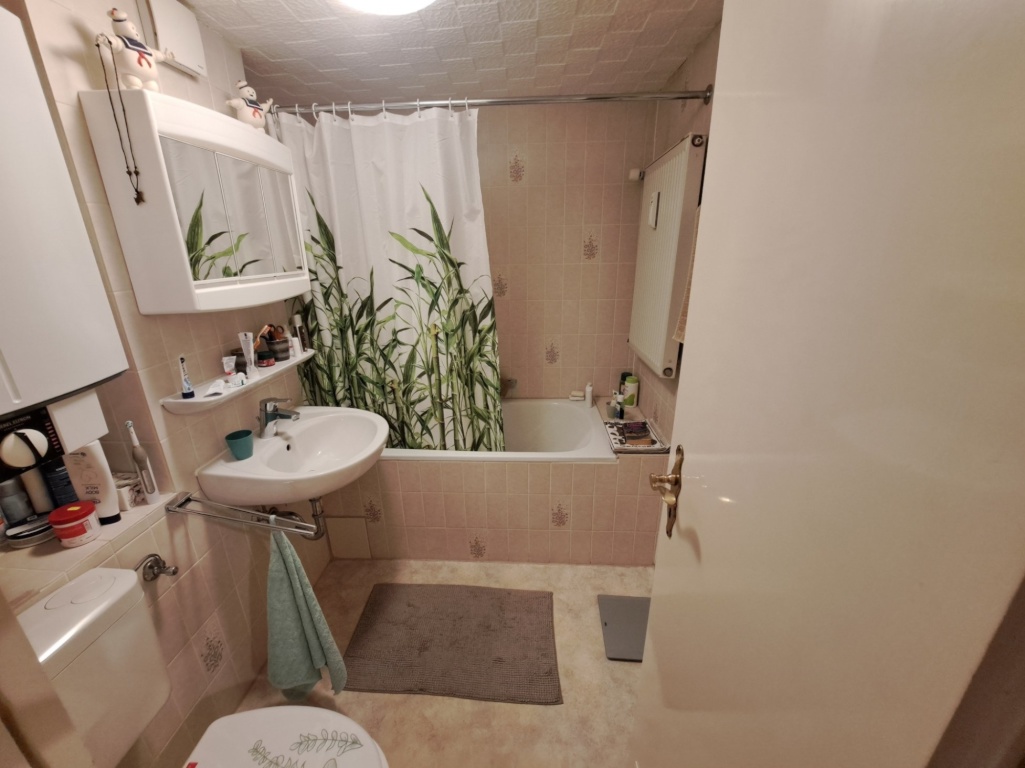 2 Zimmer Wohnung, Küche, Bad. Vom 21.10.26 bis 31.02.27 – 54290 Trier Trier – Vorschaubild 9
