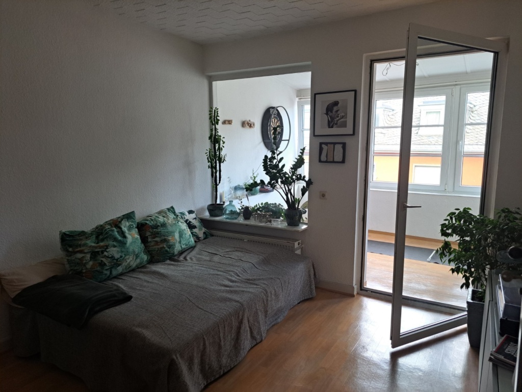 2 Zimmer Wohnung, Küche, Bad. Vom 21.10.26 bis 31.02.27 – 54290 Trier Trier – Vorschaubild 5