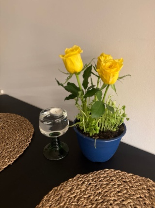 ✨ luxury studio in a colorful and green city center Schoneberg : 10 days ! — photo 1