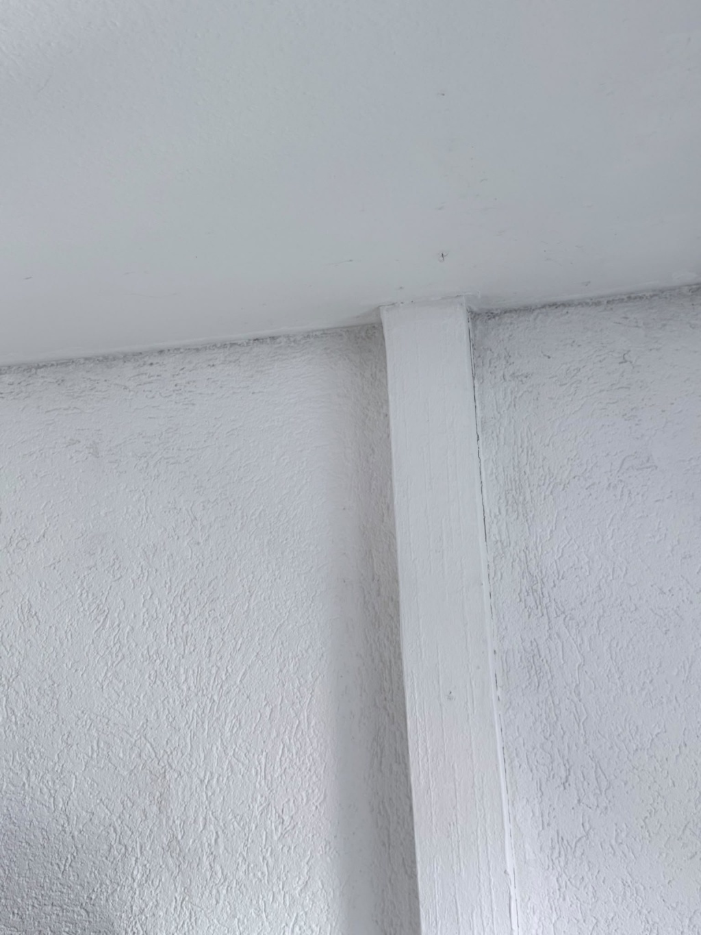 WG-Zimmer Innenstadt C8 19 - Bild 6