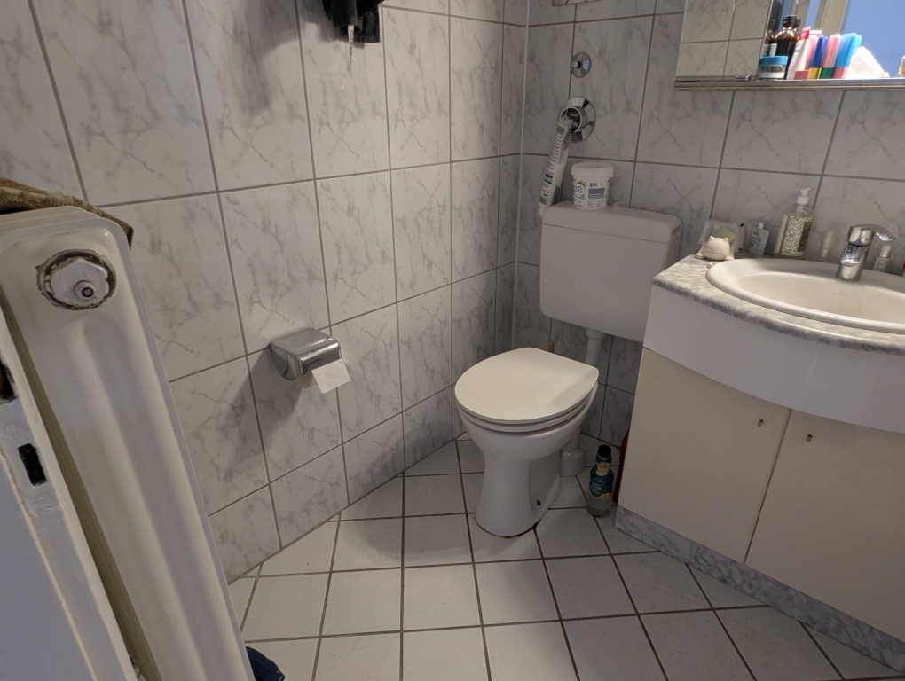 Möblierte Wohnung mit 2 Balkonen am Zoopark – 40239 Düsseldorf Derendorf – Vorschaubild 9