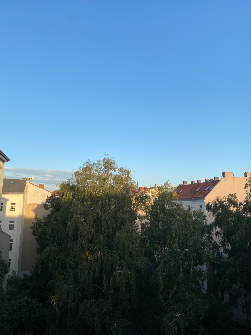 Wohnung Kreuzberg Zossenerstraße - Bild 7