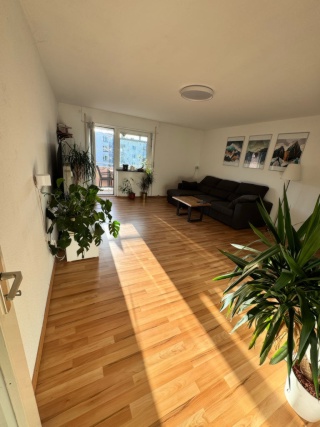 Imagen del anuncio: Nahezu autarke, großzügige 2-Zimmer-Wohnung in Mannheim-Lindenhof mit Garage zur Zwischenmiete